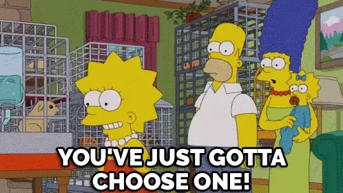 The simpsons : you've just gotta choose one