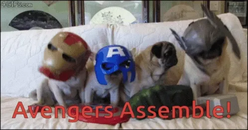 4 pugs, dressed up as the avengers