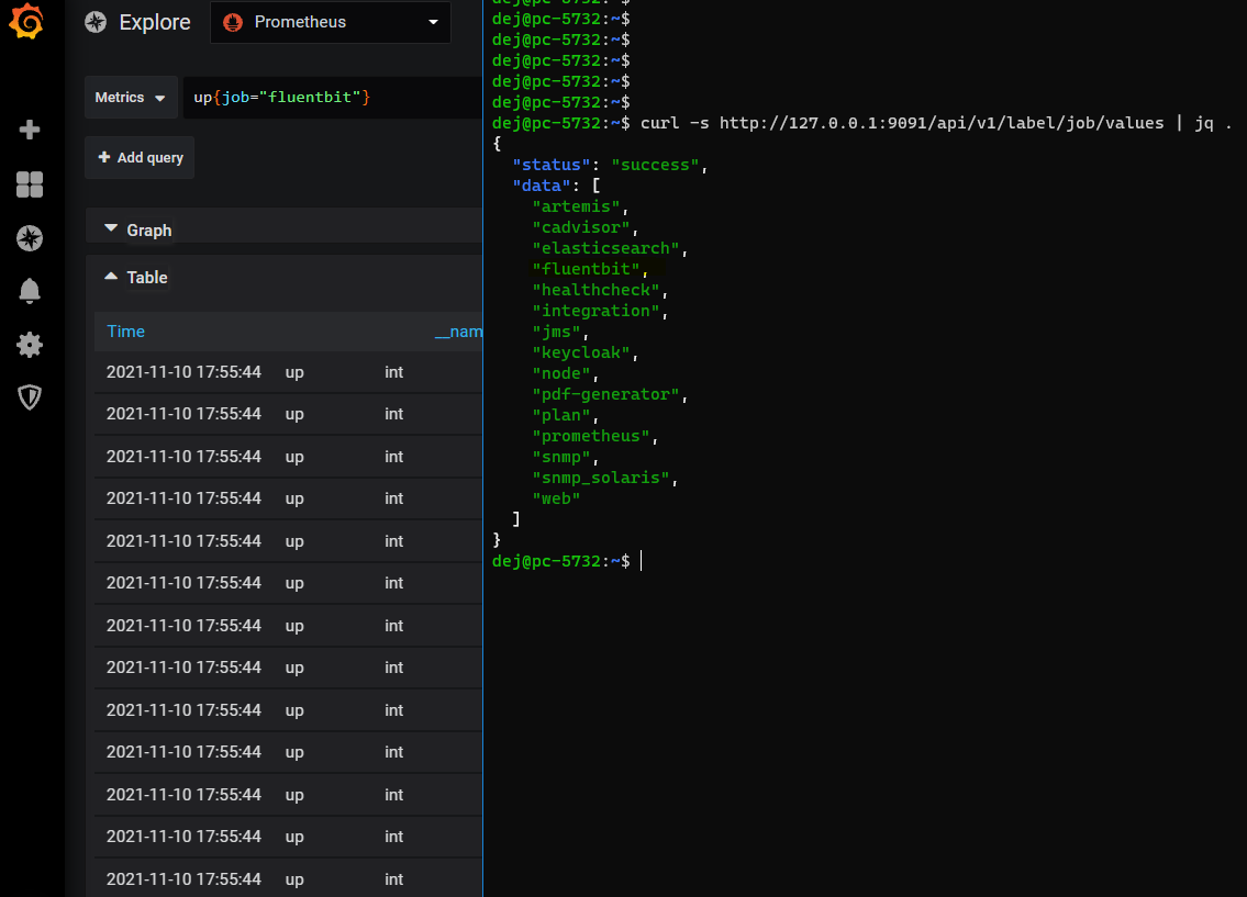 Job fluent-bit labels and value