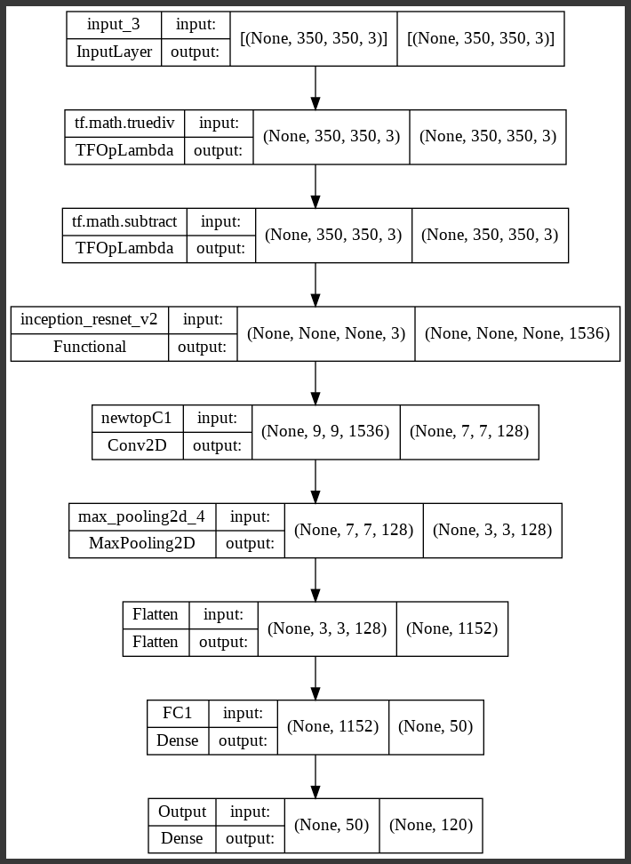 Standalone Model using InceptionResNet
