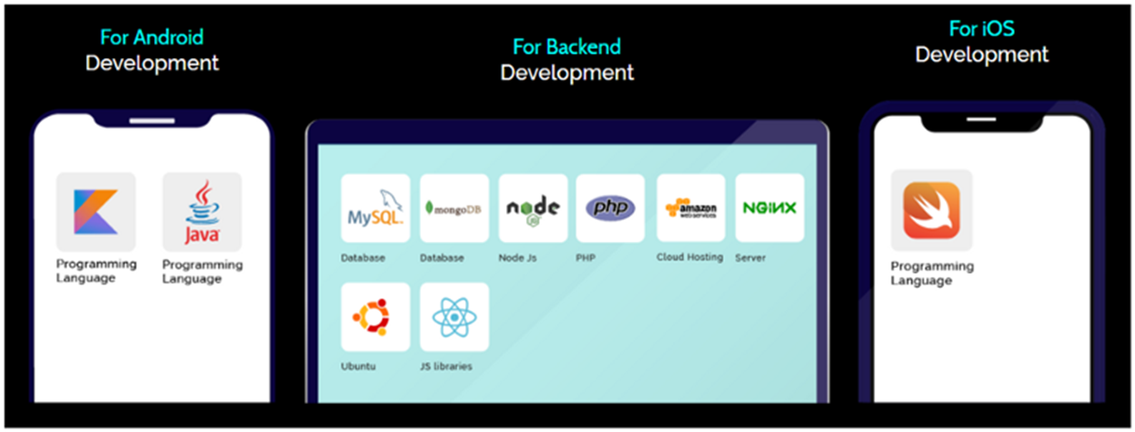 Technology Stack in App like TikTok