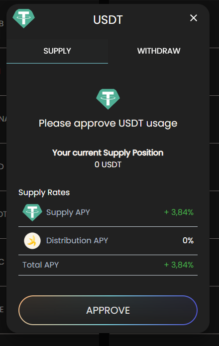 Window to approve access to USDT Token.