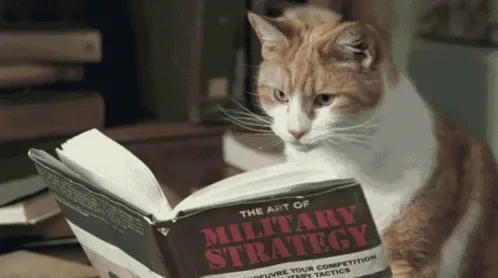 Кот планирует нашу стратегию Wordle