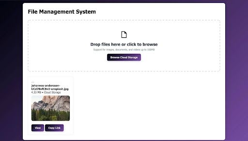 File uploader tool with live preview for images, videos, and documents