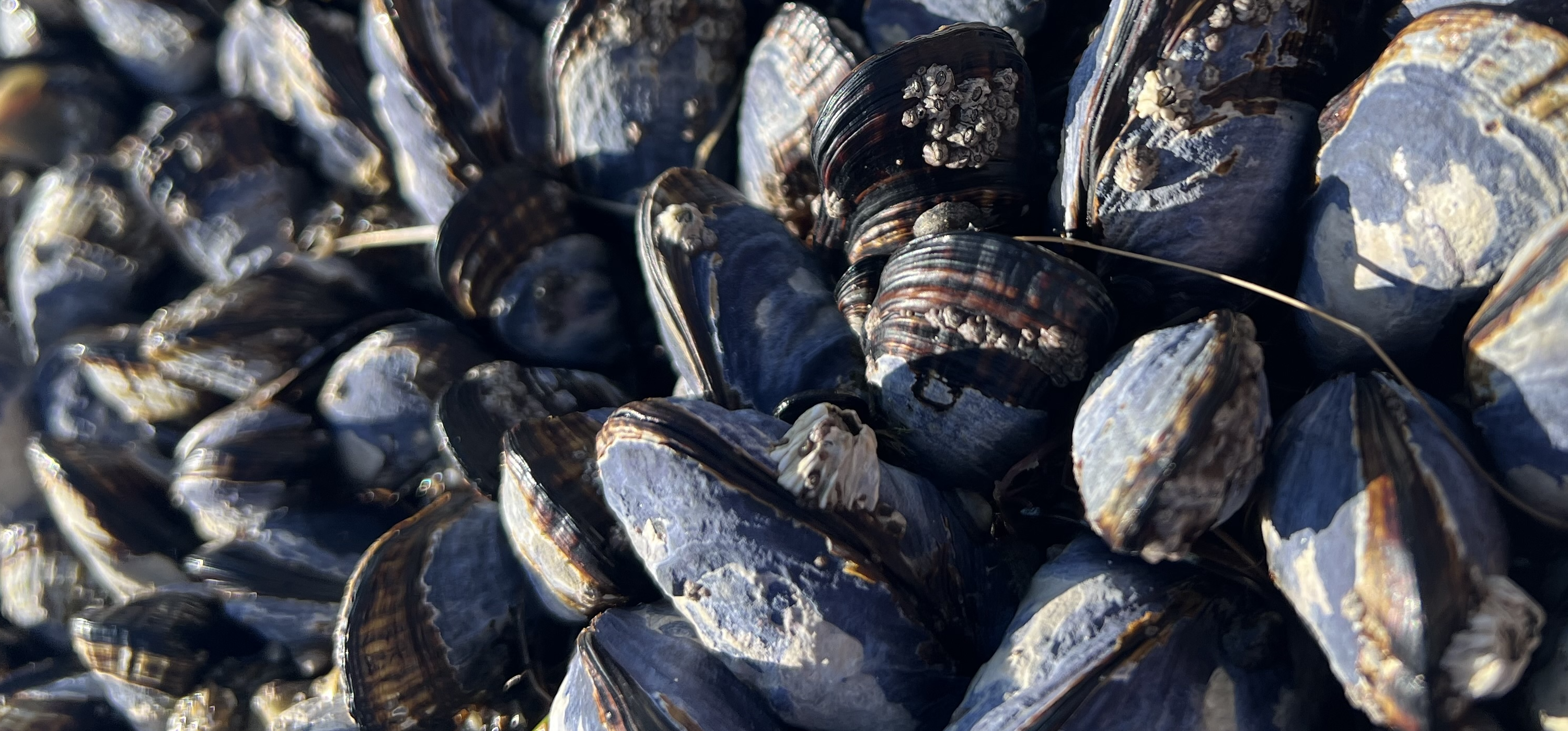 CrowdStrike Can Manipulate Your Clock, And Other Ways Cybersecurity Vendors Ignore Least Privilege