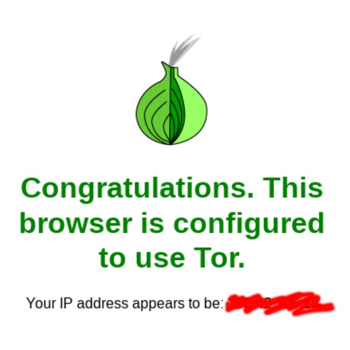 Successful connection test on https://check.torproject.org/