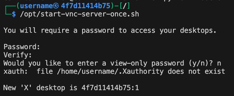 Terminal output from starting a VNC session in the Docker Container