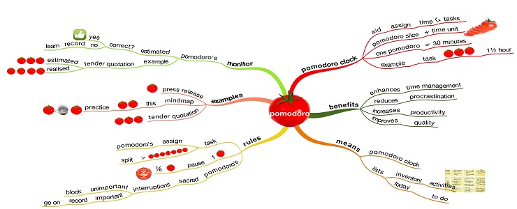 Pomodoro Infographic