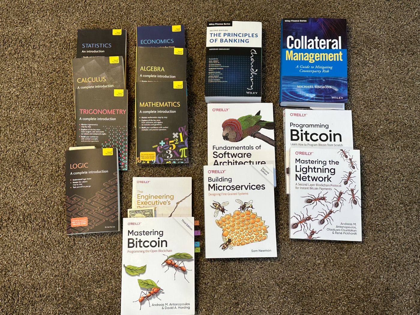Books I am using for self study — this will take me about a year to get through. Currently reading Mastering Bitcoin and Intro to Logic.