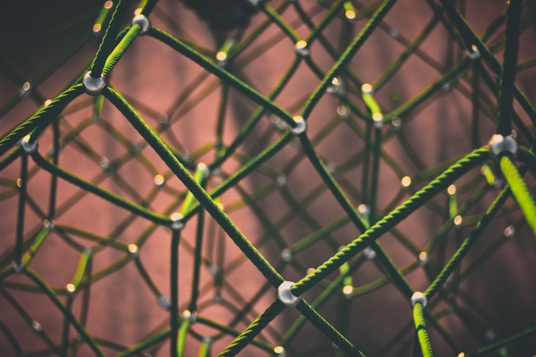Inside the Unseen War Between Shared and Custom Blockchain Nodes