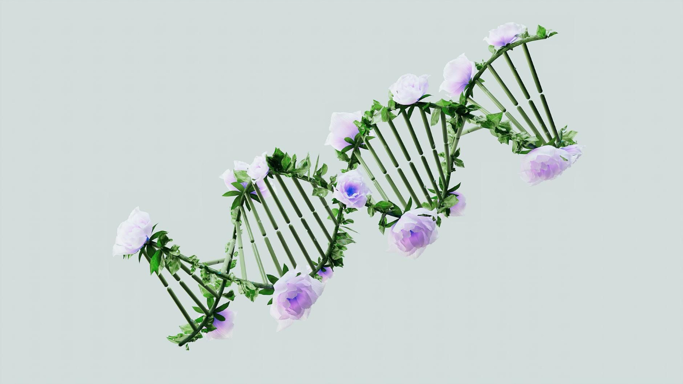 Main Results and Biological Interpretation