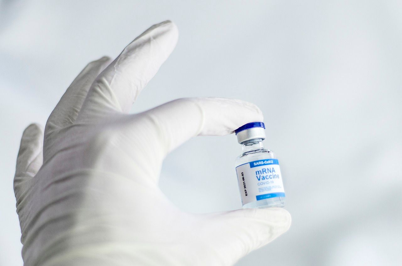 Online Information of Vaccines: Conclusion and References