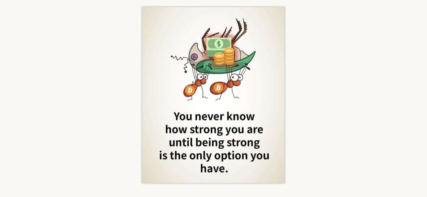 Lifestyle of the Fed and Famous — How Bitcoin is Here to Set You Free