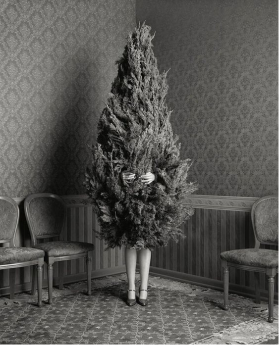 How to Navigate the Holidays: A Closer Look at Christmas and Mental Health Diagnoses