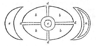 Fig. 39.