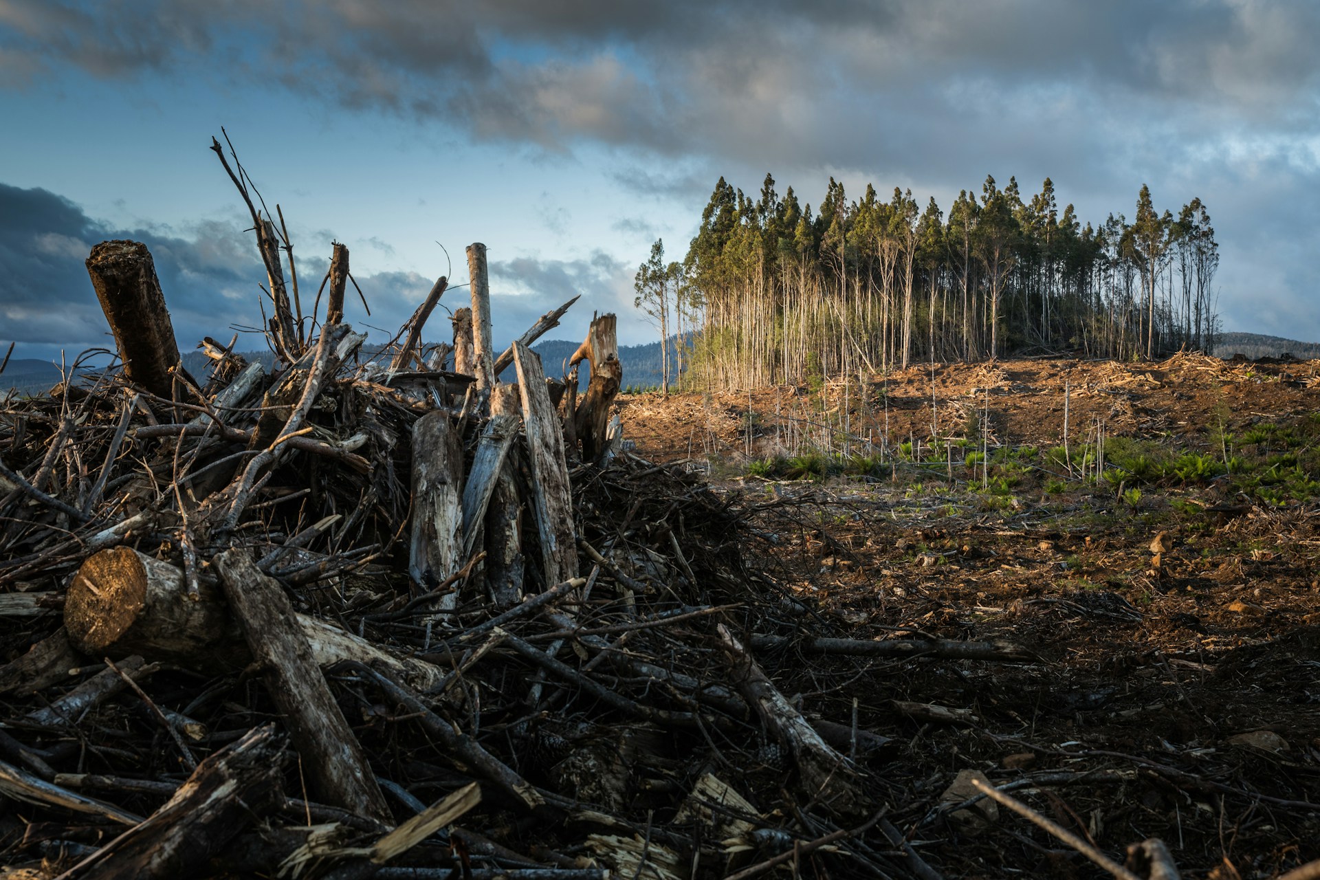 Unstructured Data Is Trying to Tell You Something - Try Listening to It: The Human Side of Logs