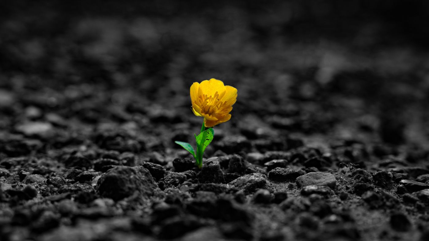 Resilience Of SMBs During The Recession: CEO Strategies For Success In 2023