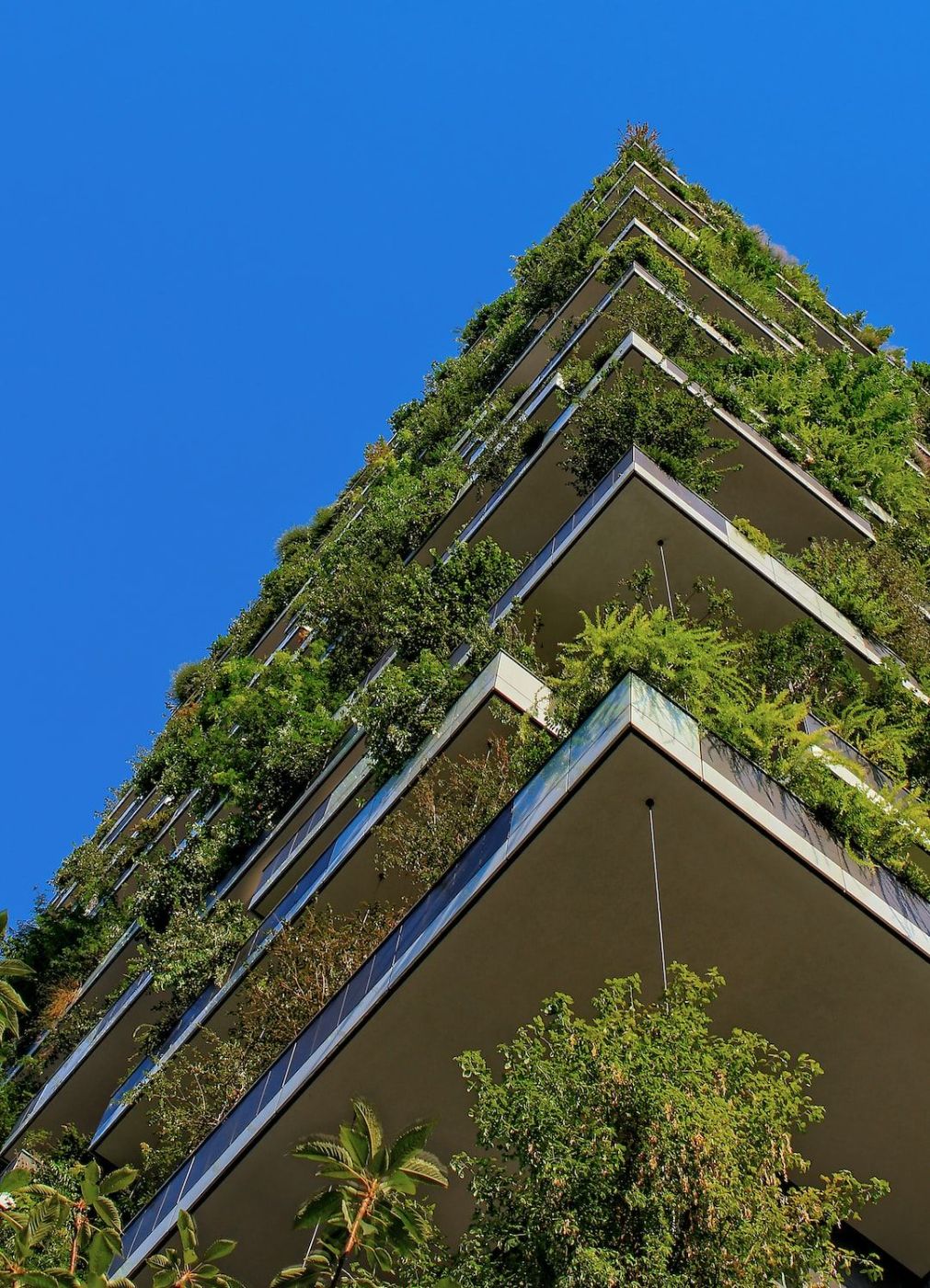Supporting Green Tech In Everyday Life