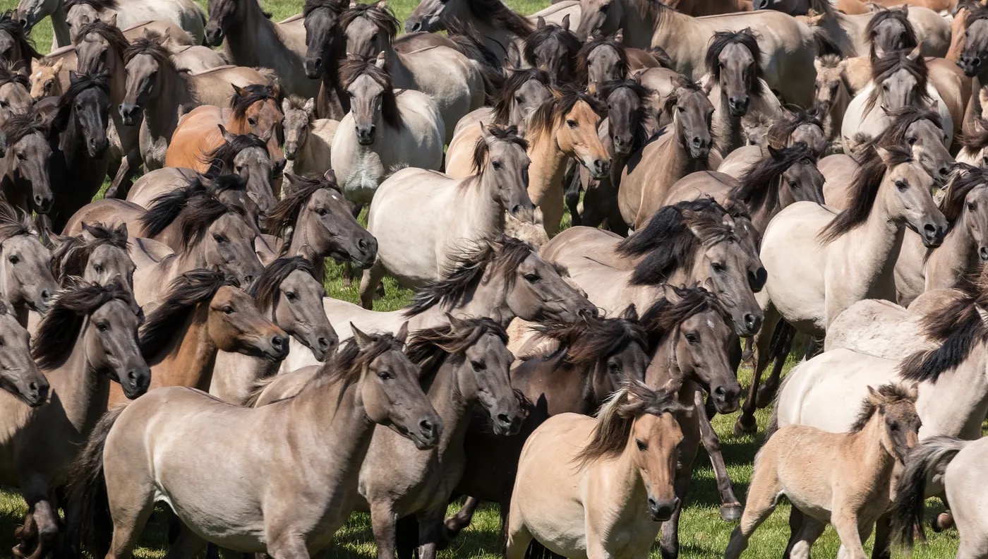 Explaining What a Cache Stampede Is and How to Prevent It Using Redis