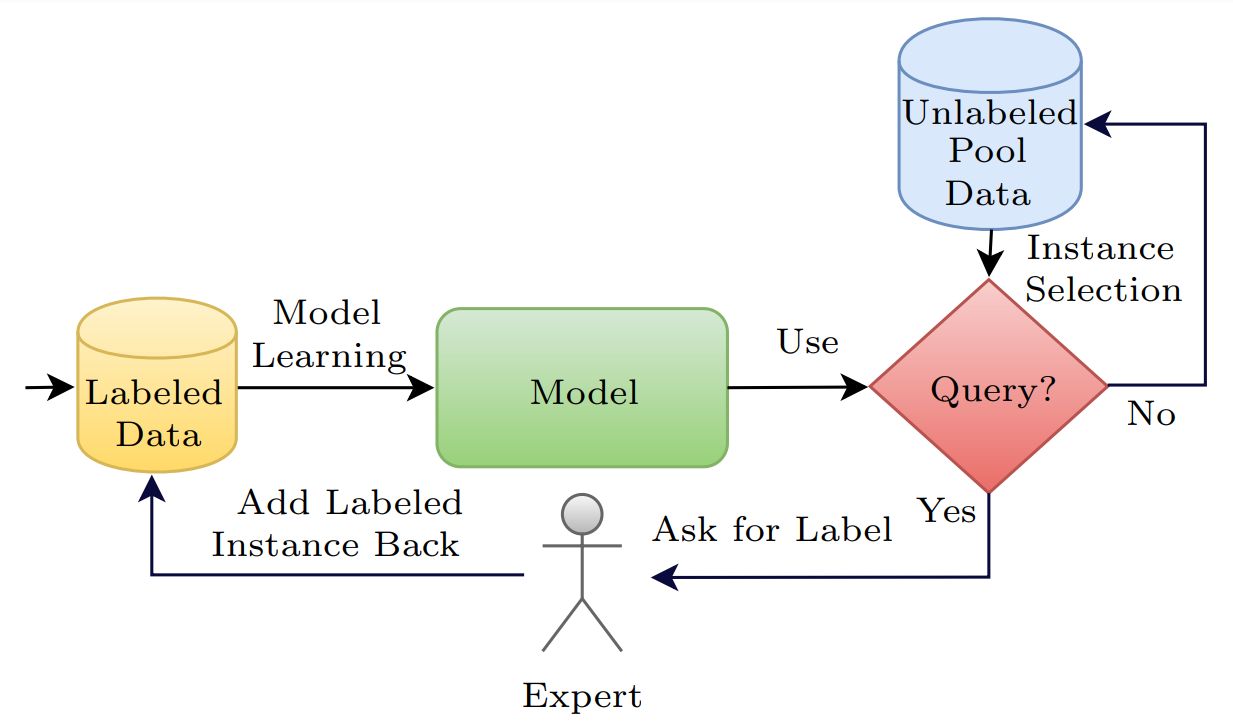Representation of active learning. Image from Kumar et al.