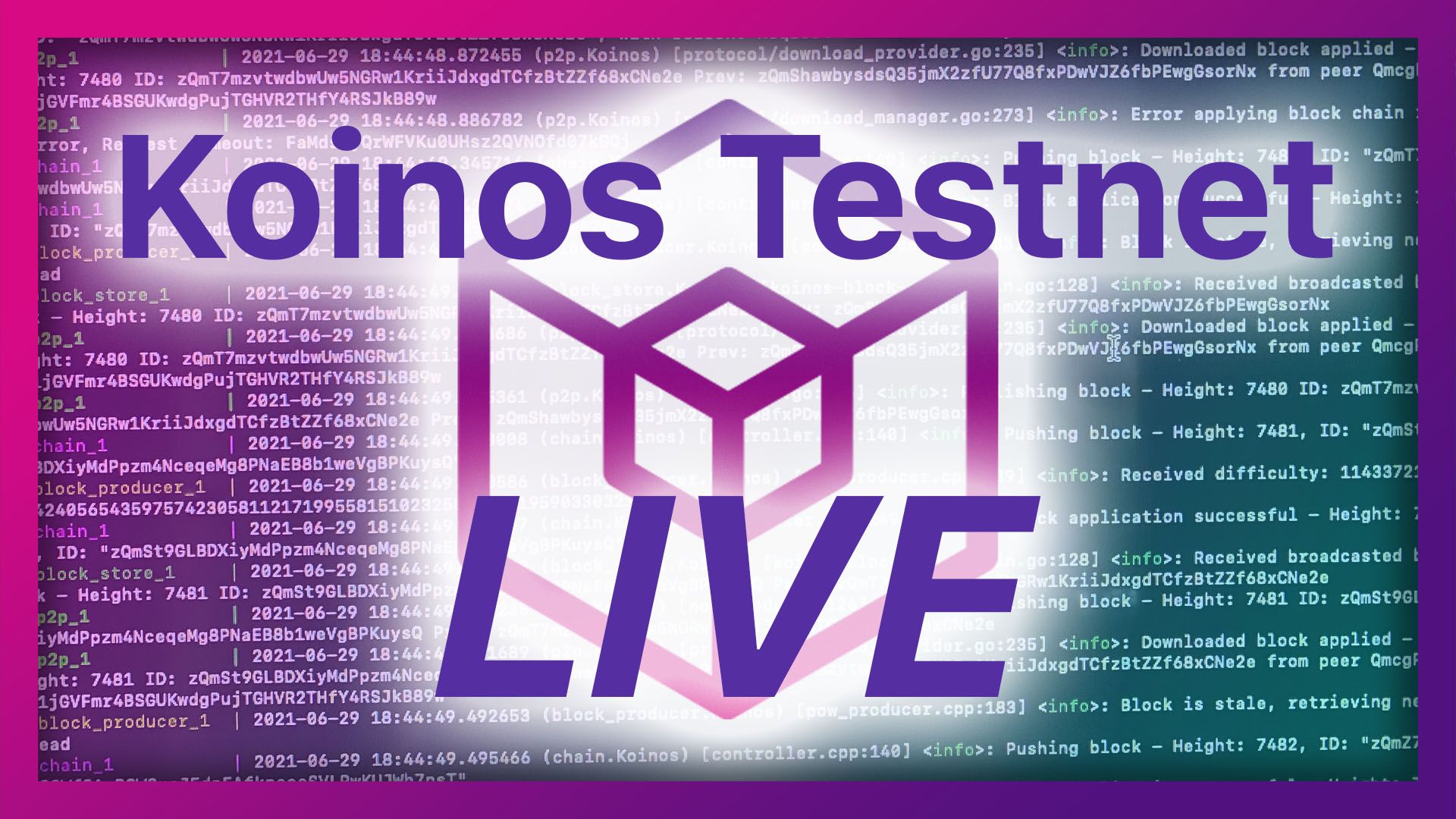 Koinos Testnet Just Went LIVE!