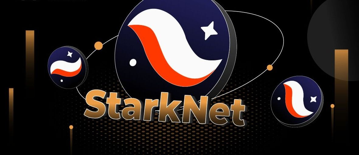 Is the StarkNet Ecosystem Overvalued?
