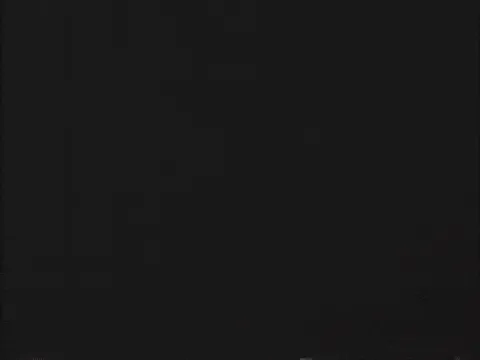 LogoMotion vs. The Newbies (Spoiler: The Newbies Won)