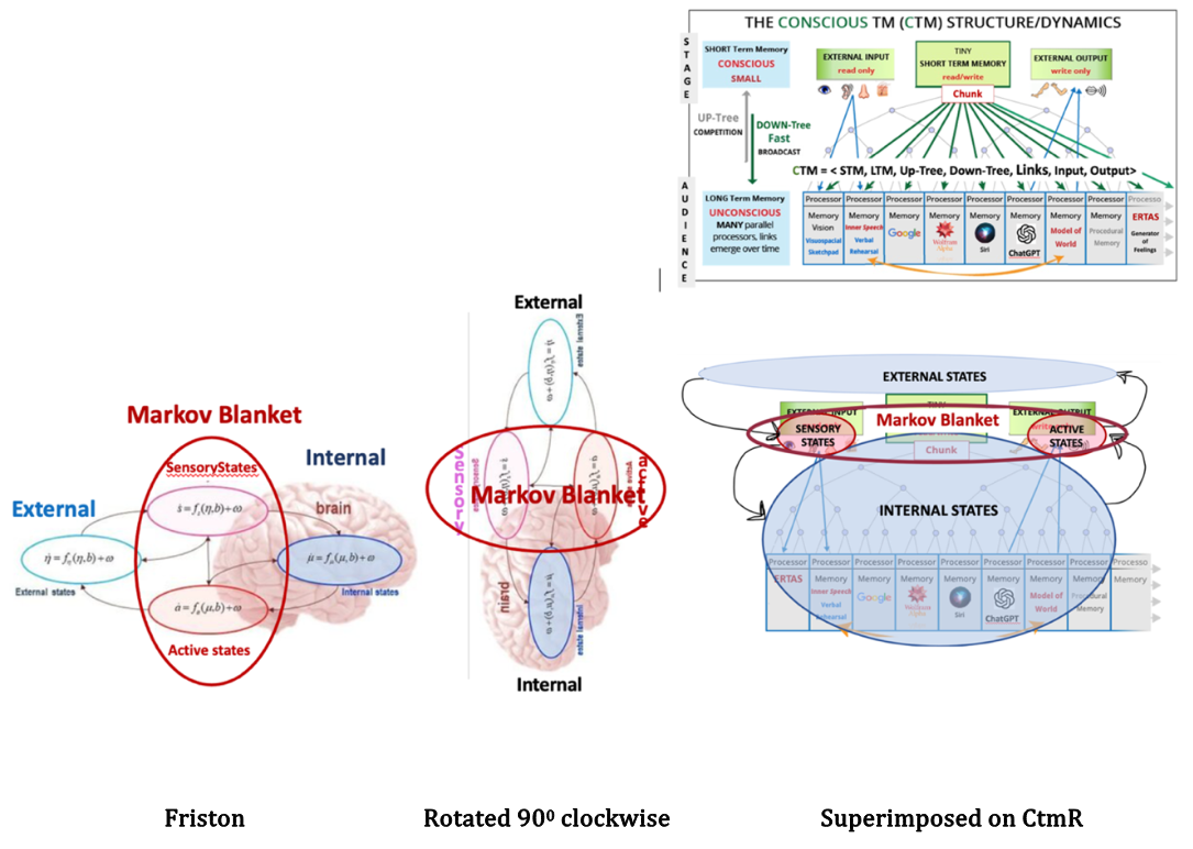 How Conscious Turing Machine Robots Align with Other Theories of Consciousness