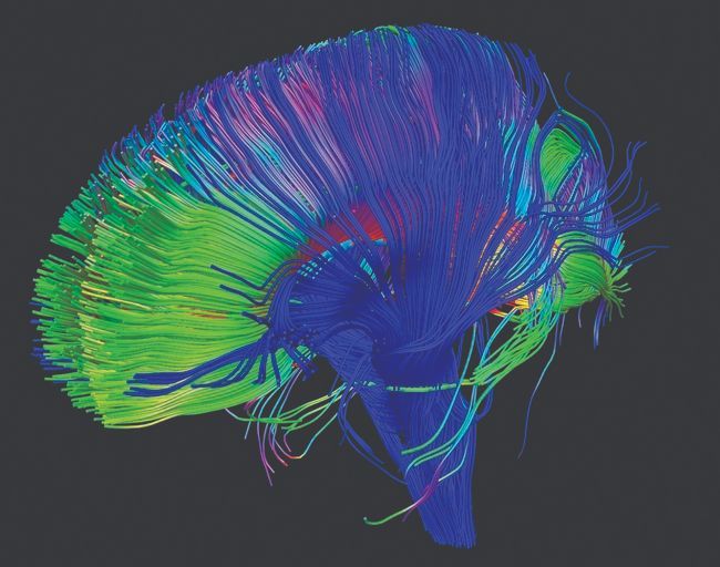 LLMs: Without the Human Mind, Would AI Regulation Work?