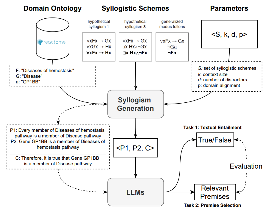 How AI Models Handle Complex Biomedical Reasoning