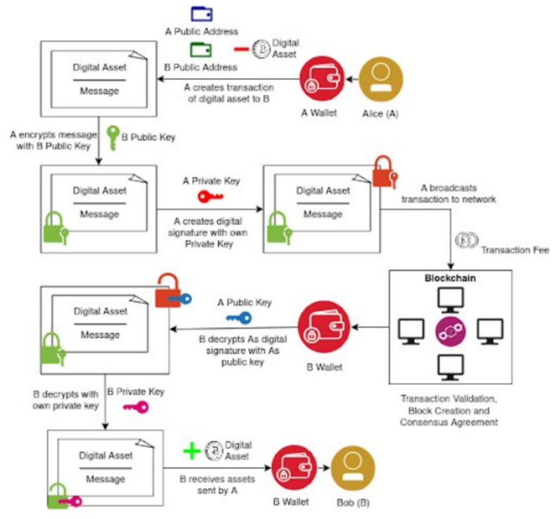 How Blockchain Ledger Models Affect Transactions and Security