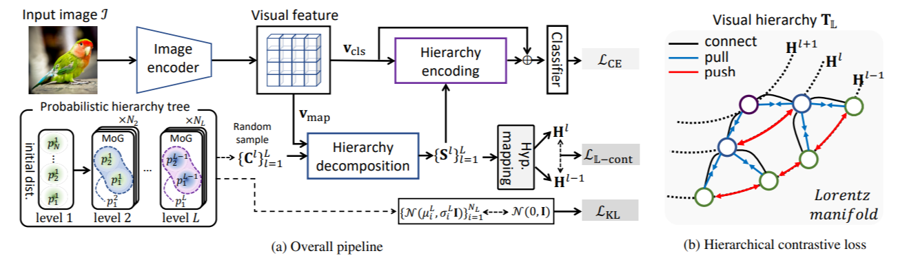How AI Models Understand Visual Hierarchies