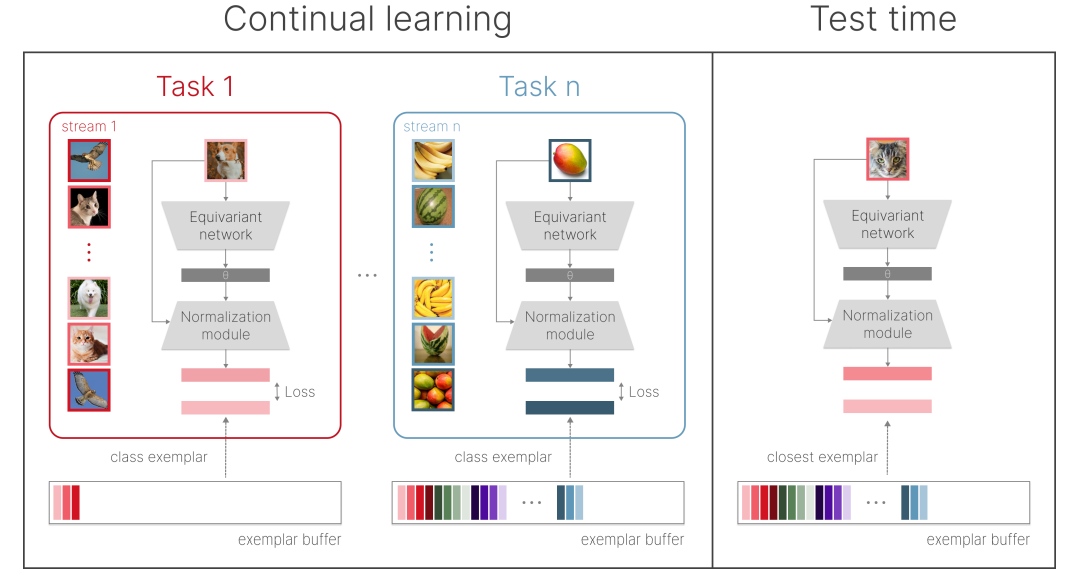 Disentangled Continual Learning: Separating Memory Edits from Model Updates