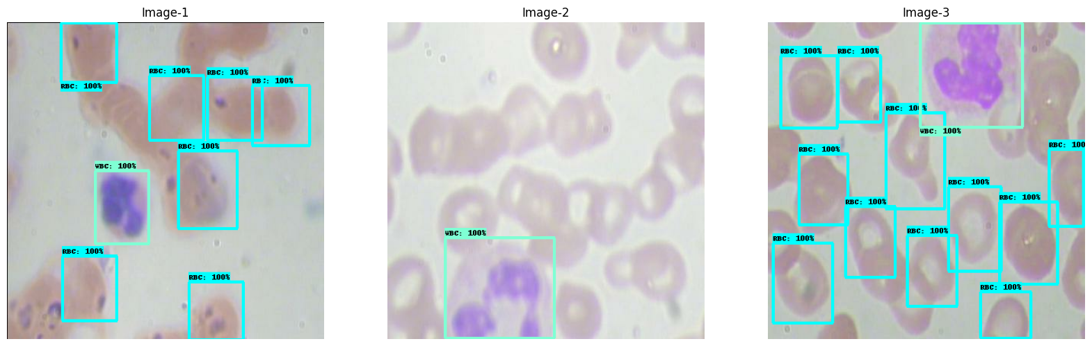 Learn to Build, Train, and Export RetinaNet (ResNet-50) on a Custom Dataset