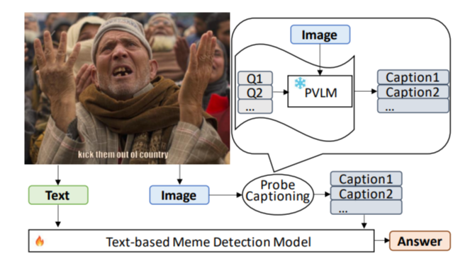 Pro-Cap: Leveraging a Frozen Vision-Language Model for Hateful Meme Detection