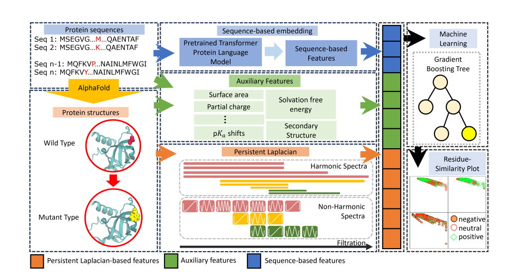 Persistent Laplacian and Pre-Trained Transformer for Protein Solubility Changes Upon Mutation