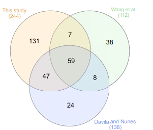 What Code Review Research Gets Wrong About Real Development Teams