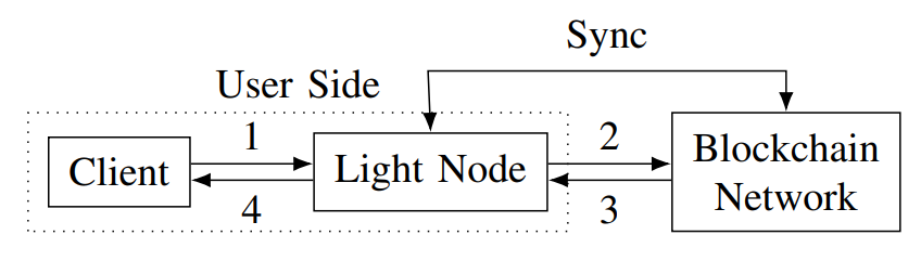 Light Nodes: Balancing Cost and Data Integrity in Blockchain Accessibility 
