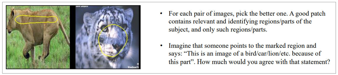 Evaluating Prototype Interpretability