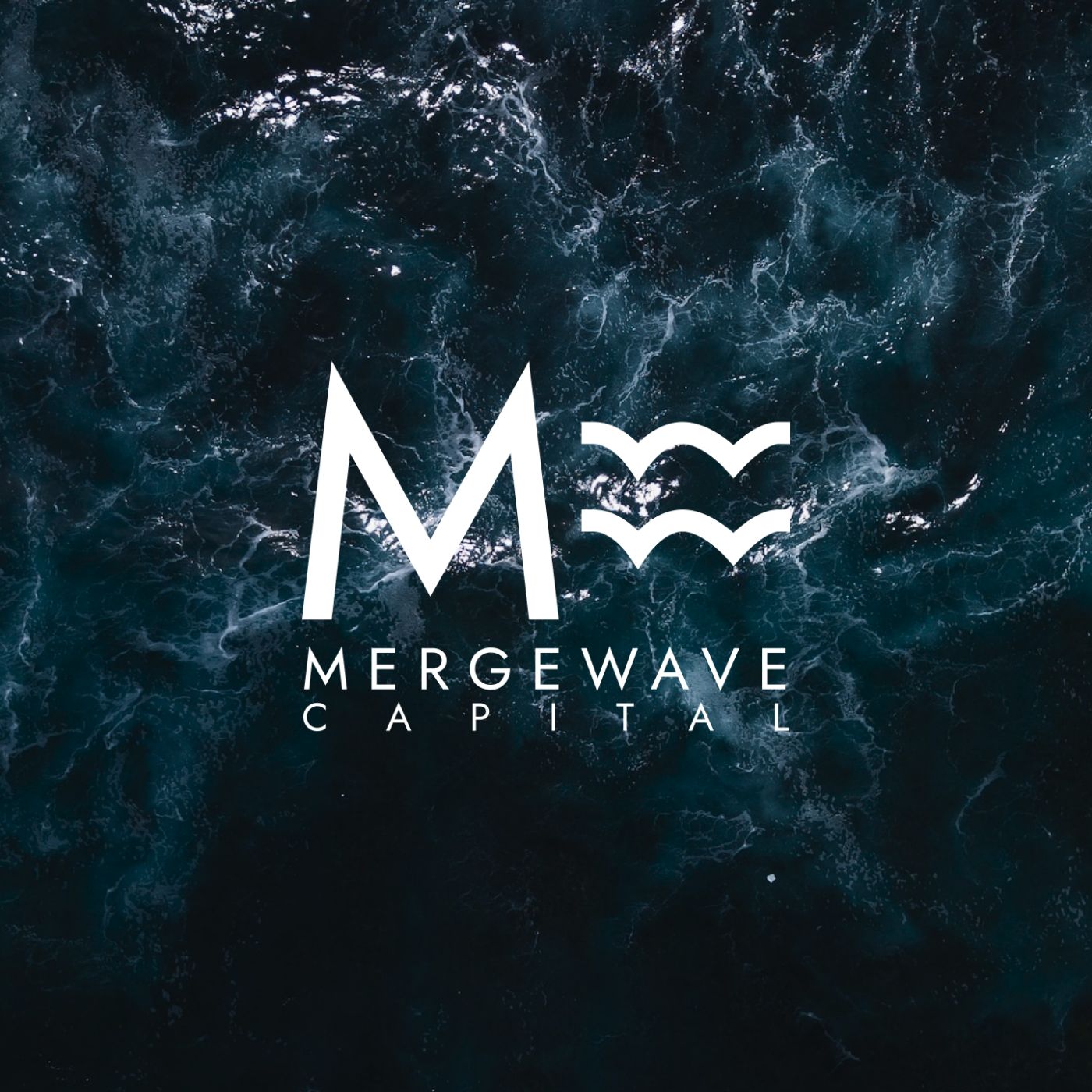 Mergewave Capital HackerNoon profile picture