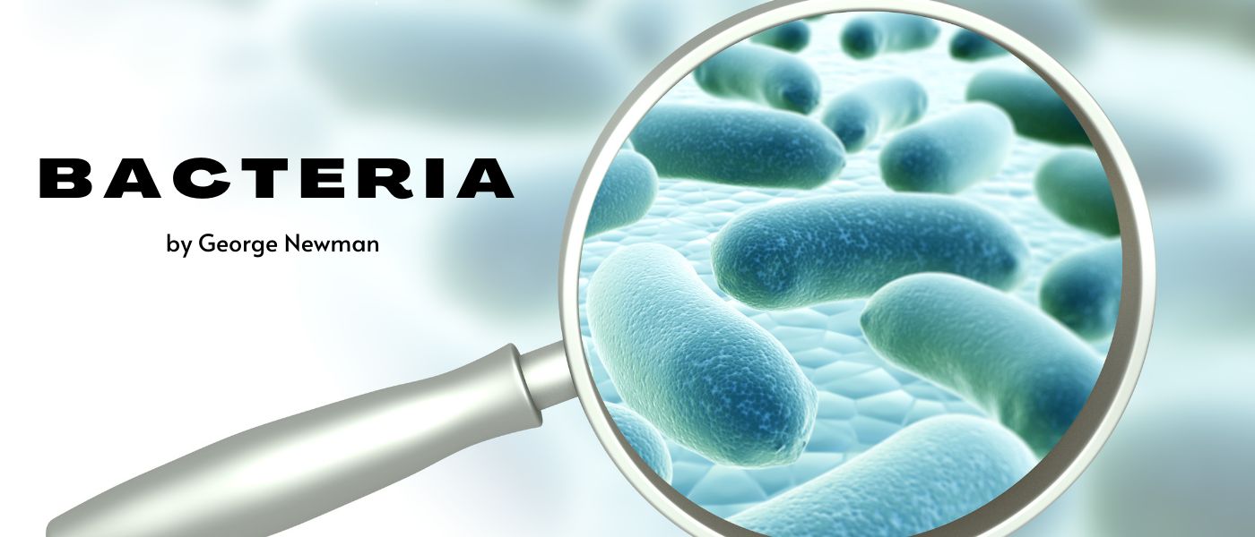 Bacteria: Chapter 1 - THE BIOLOGY OF BACTERIA