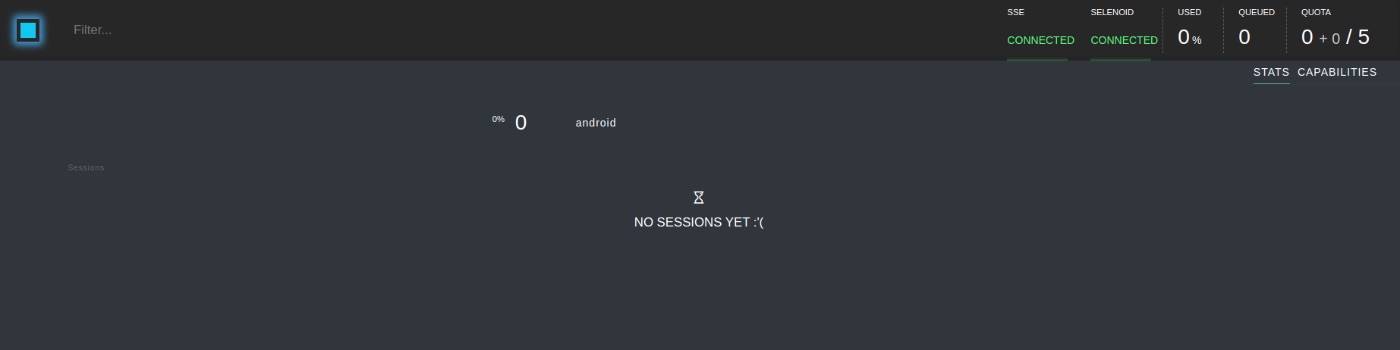 This is what the Selenoid UI looks like