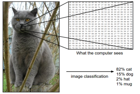 Representation of how an image is perceived and classified by a computer.