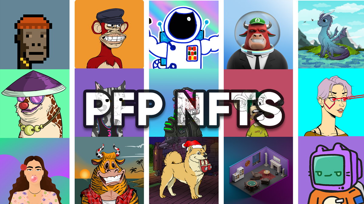 PFP NFTs explained - NFT News Pro