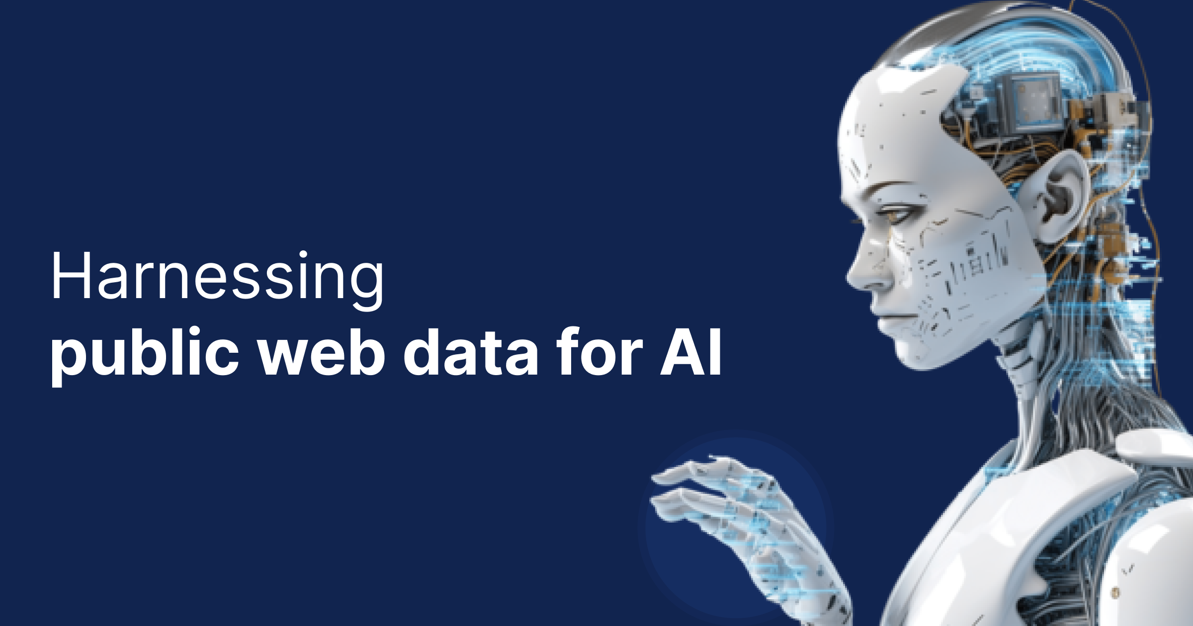 Harnessing Public Web Data for AI
