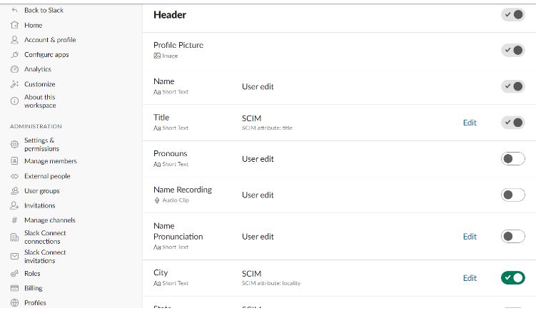 Slack Profiles 