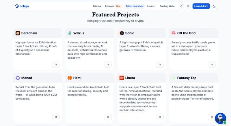 Beluga Curration for Top Best Projects 