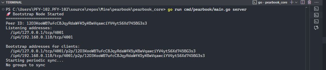 Bootstrap p2p node running in server mode