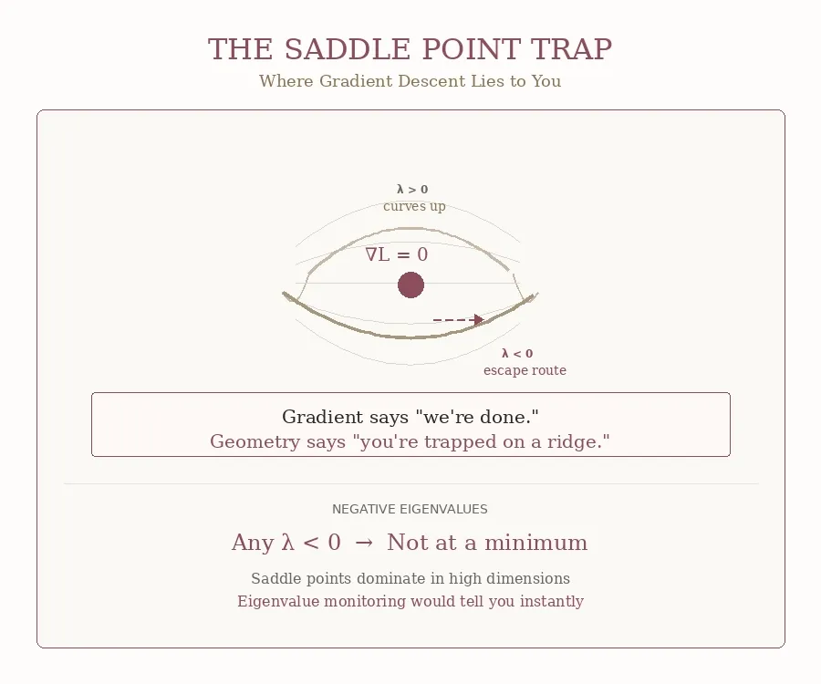 Figure 5. THE SADDLE POINT TRAPWhere gradient descent lies to you. The trembling dot shows an optimizer stuck at a saddle point. The gradient is zero (∇L = 0), so the algorithm thinks it has converged. But geometrically, it’s trapped on a ridge: the surface curves up in one direction (λ > 0, trapped) and down in another (λ < 0, escape route). The optimizer doesn’t know to take the escape route because the gradient is zero. Gradient says “we’re done.” Geometry says “you’re trapped on a ridge.” Eigenvalue monitoring would tell you instantly. GIF created by the author with Blender.