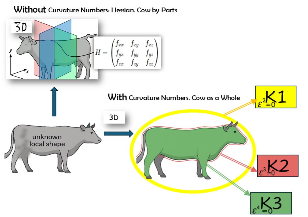 Figure 1. Slices Miss the Cow. Curvature Numbers Mold It Whole.Top figure — Without Curvature Numbers: Hessian (Cow by Parts) The old way — CT-scan math (the Hessian) — cuts the cow into three neat slices. That’s useful for seeing how it bends in each direction, but you still miss how the body twists between slices. You never capture the cow itself, only disconnected cross-sections. Bottom figure — With Curvature Numbers: Cow as a Whole Curvature numbers work differently. Instead of slicing, they wrap the cow directly in molds. K1 lays a broad yellow outline for a safe enclosure. K2 refines it with a red halo that bends with the body. K3 finishes with a green skin that hugs the surface, trimming away what doesn’t matter. Step by step, the rough sketch becomes a faithful mold. Optimizers can now move with confidence, because they see the whole shape at once, not just slices. Image created by the author with Stable Diffusion